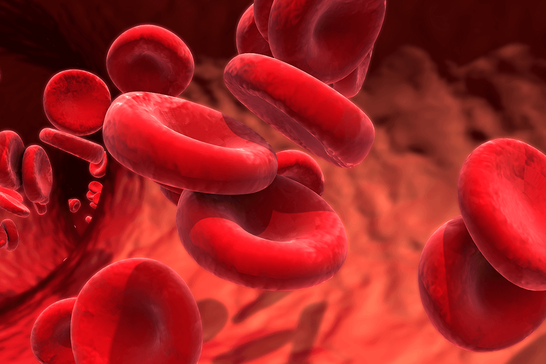 Illustration of blood cells to represent Leukemia & Lymphoma Society