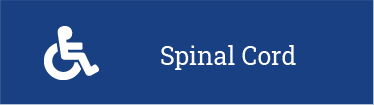 Miami spinal cord injury icon